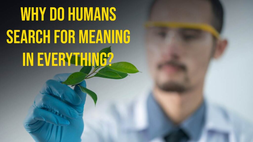 Why Do Humans Search for Meaning