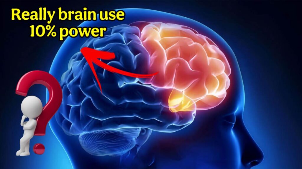 how much of our brain do we use