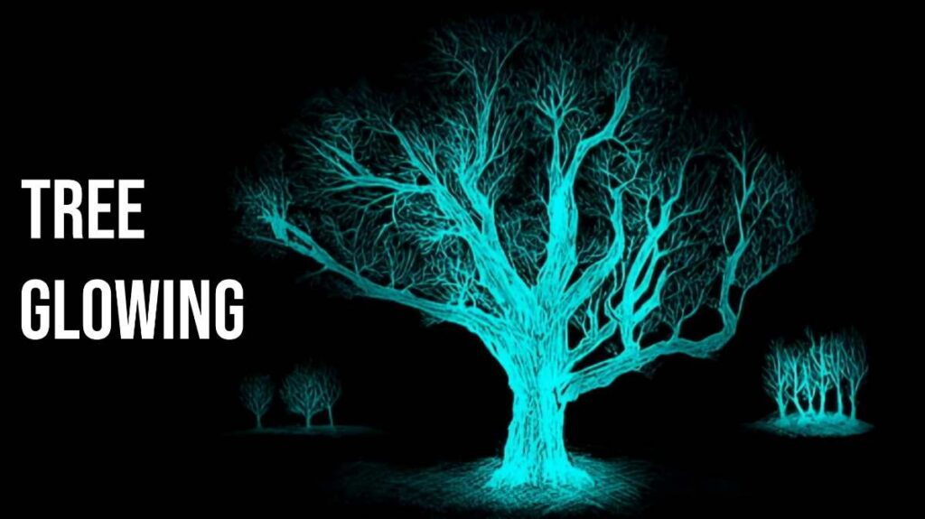 Why do some trees glow in the dark under UV light