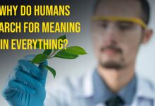 Why Do Humans Search for Meaning